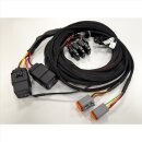 Kabelbaum 6-Pin für zwei Zusatzscheinwerfer ORB-X
