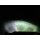 7" LED Hauptscheinwerfer 2.0 ECE